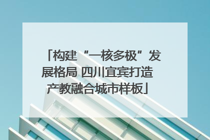 构建“一核多极”发展格局 四川宜宾打造产教融合城市样板