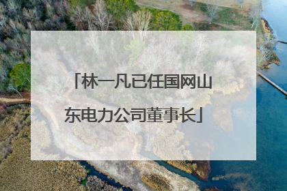林一凡已任国网山东电力公司董事长