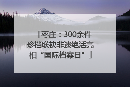 枣庄：300余件珍档联袂非遗绝活亮相“国际档案日”