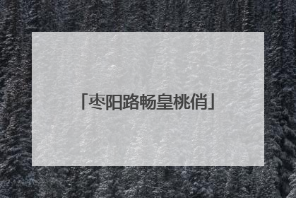 枣阳路畅皇桃俏