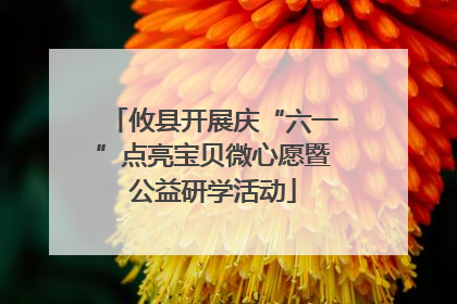 攸县开展庆“六一”点亮宝贝微心愿暨公益研学活动