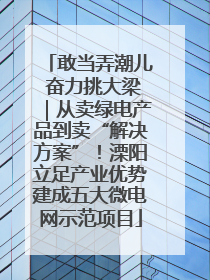 敢当弄潮儿 奋力挑大梁｜从卖绿电产品到卖“解决方案”！溧阳立足产业优势建成五大微电网示范项目