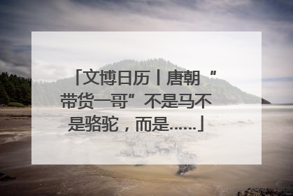 文博日历丨唐朝“带货一哥”不是马不是骆驼，而是……
