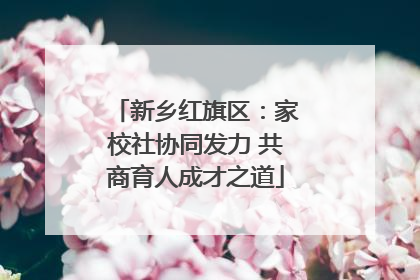 新乡红旗区：家校社协同发力 共商育人成才之道