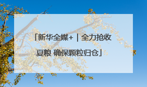 新华全媒+｜全力抢收夏粮 确保颗粒归仓