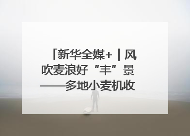 新华全媒+｜风吹麦浪好“丰”景——多地小麦机收一线见闻