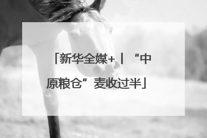 新华全媒+丨“中原粮仓”麦收过半