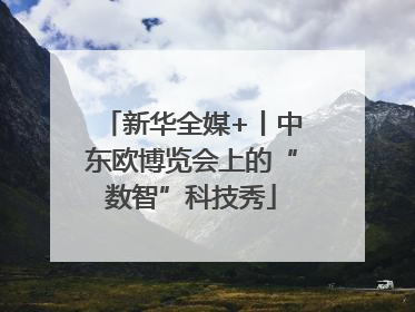 新华全媒+丨中东欧博览会上的“数智”科技秀