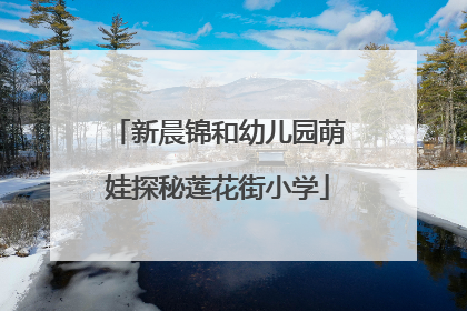 新晨锦和幼儿园萌娃探秘莲花街小学