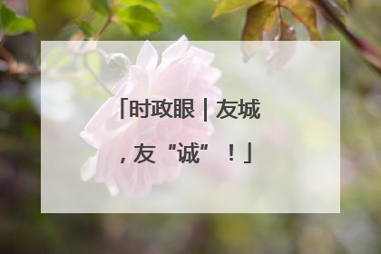 时政眼｜友城，友“诚”！
