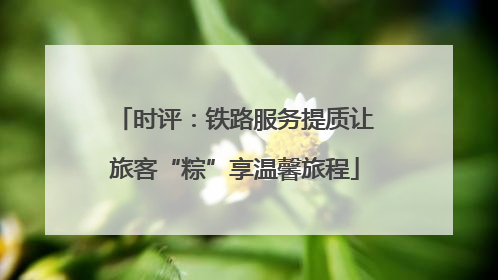 时评：铁路服务提质让旅客“粽”享温馨旅程