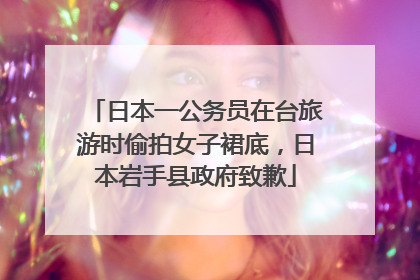 日本一公务员在台旅游时偷拍女子裙底，日本岩手县政府致歉