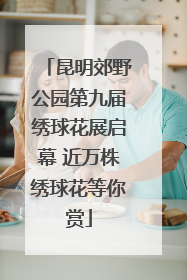 昆明郊野公园第九届绣球花展启幕 近万株绣球花等你赏