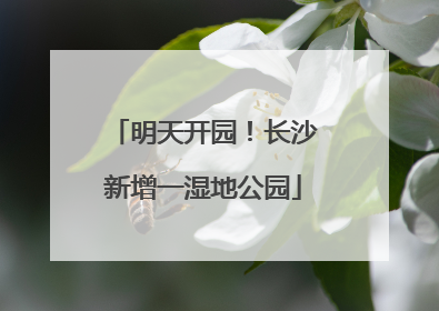 明天开园！长沙新增一湿地公园