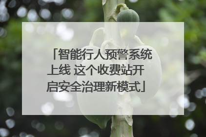 智能行人预警系统上线 这个收费站开启安全治理新模式