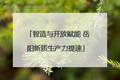 智造与开放赋能 岳阳新质生产力提速