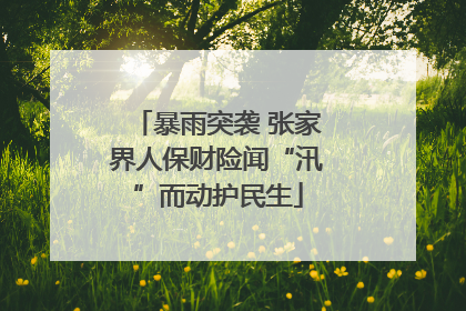 暴雨突袭 张家界人保财险闻“汛”而动护民生