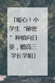 暖心！小学生“秘密”种植向日葵，赠高三学长学姐