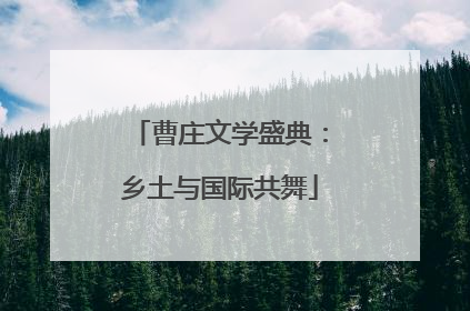 曹庄文学盛典：乡土与国际共舞