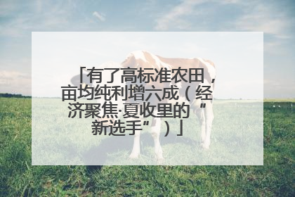 有了高标准农田，亩均纯利增六成（经济聚焦·夏收里的“新选手”）