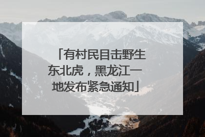 有村民目击野生东北虎，黑龙江一地发布紧急通知