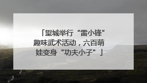 望城举行“雷小锋”趣味武术活动，六百萌娃变身“功夫小子”