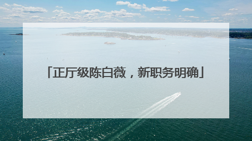 正厅级陈白薇，新职务明确