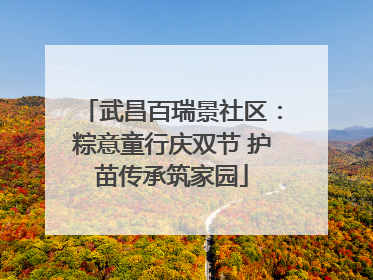 武昌百瑞景社区：粽意童行庆双节 护苗传承筑家园