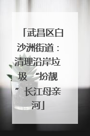 武昌区白沙洲街道：清理沿岸垃圾 “扮靓”长江母亲河