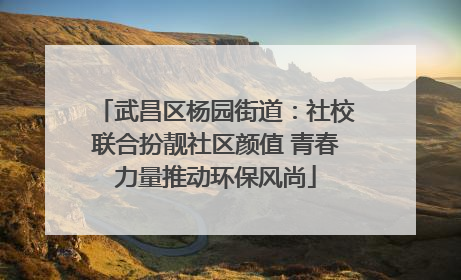 武昌区杨园街道：社校联合扮靓社区颜值 青春力量推动环保风尚