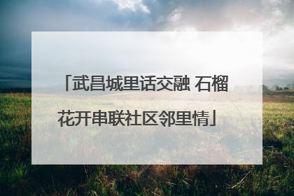武昌城里话交融 石榴花开串联社区邻里情