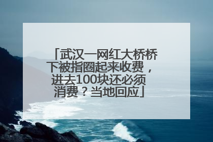 武汉一网红大桥桥下被指圈起来收费，进去100块还必须消费？当地回应