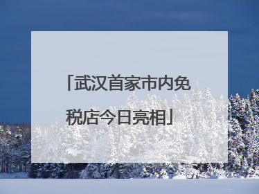 武汉首家市内免税店今日亮相