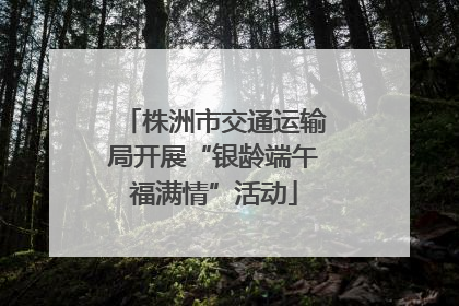 株洲市交通运输局开展“银龄端午福满情”活动