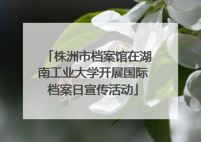 株洲市档案馆在湖南工业大学开展国际档案日宣传活动