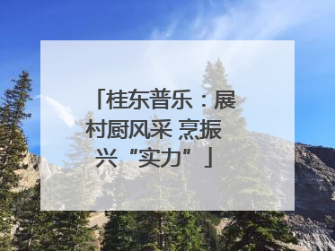 桂东普乐：展村厨风采 烹振兴“实力”