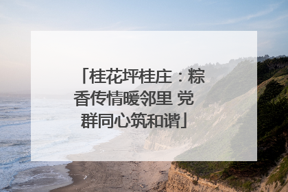 桂花坪桂庄：粽香传情暖邻里 党群同心筑和谐