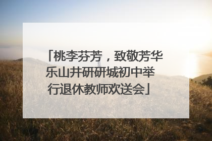 桃李芬芳，致敬芳华 乐山井研研城初中举行退休教师欢送会