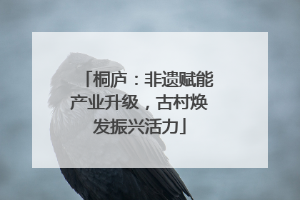 桐庐：非遗赋能产业升级，古村焕发振兴活力