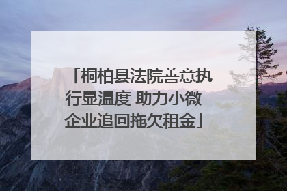 桐柏县法院善意执行显温度 助力小微企业追回拖欠租金
