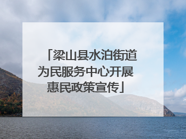 梁山县水泊街道为民服务中心开展惠民政策宣传