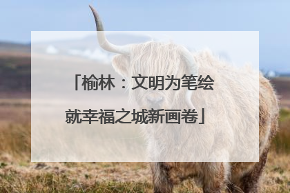 榆林：文明为笔绘就幸福之城新画卷