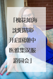 槐花如海 沈阳精彩开启国潮中医雅集汉服游园会