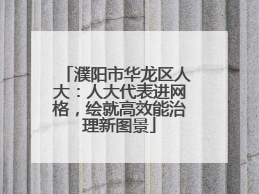 濮阳市华龙区人大：人大代表进网格，绘就高效能治理新图景