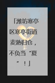潍坊寒亭区寒亭街道麦熟归仓，不负当“夏”！