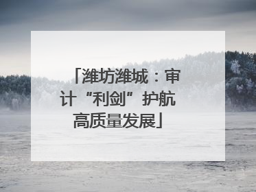 潍坊潍城：审计“利剑”护航高质量发展