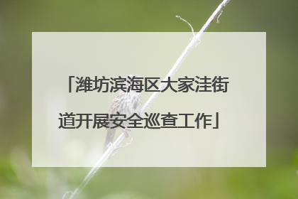 潍坊滨海区大家洼街道开展安全巡查工作