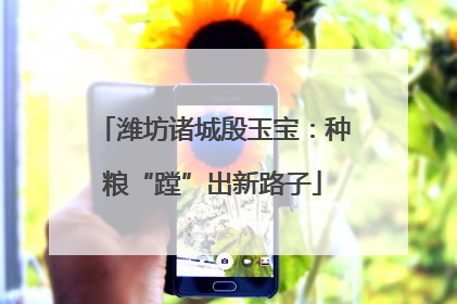 潍坊诸城殷玉宝：种粮“蹚”出新路子