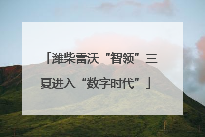 潍柴雷沃“智领”三夏进入“数字时代”