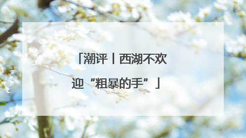 潮评丨西湖不欢迎“粗暴的手”